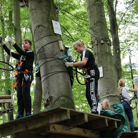 Kletterwald_2020