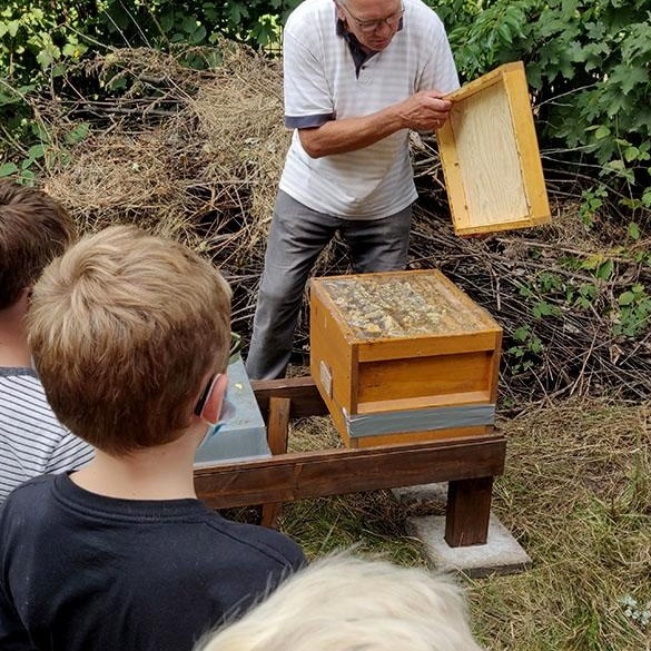 Bienen_2020