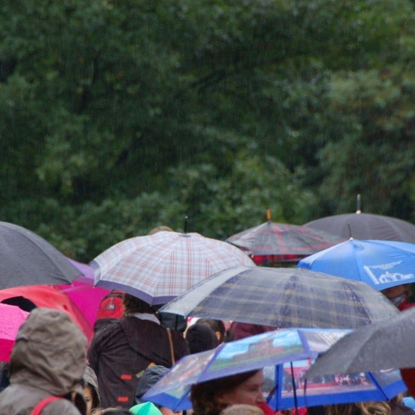 2012_Waldlauf_Imp