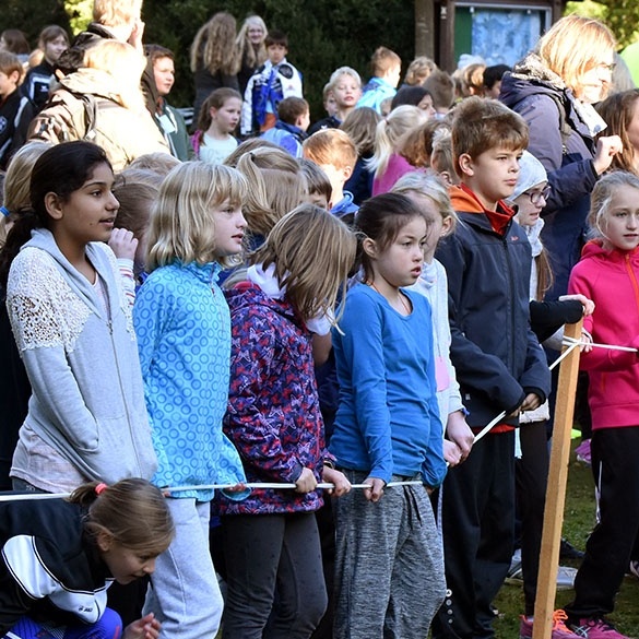 Waldlauf_2016