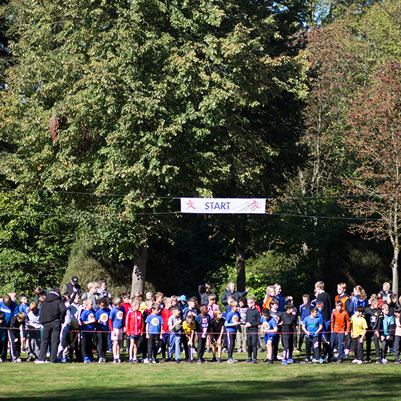 Waldlauf 2025