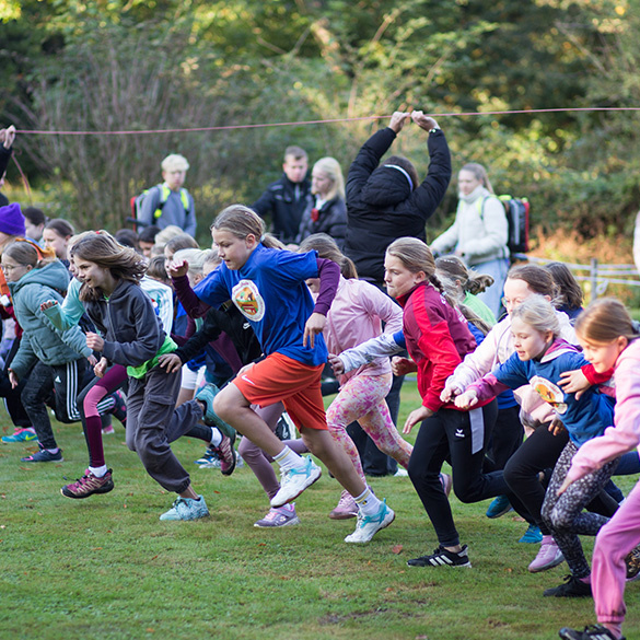 Waldlauf 2025