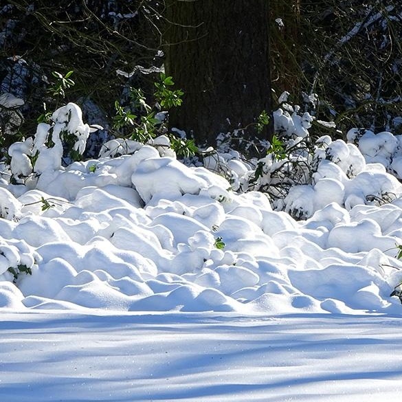 Loburg_Schnee_2021