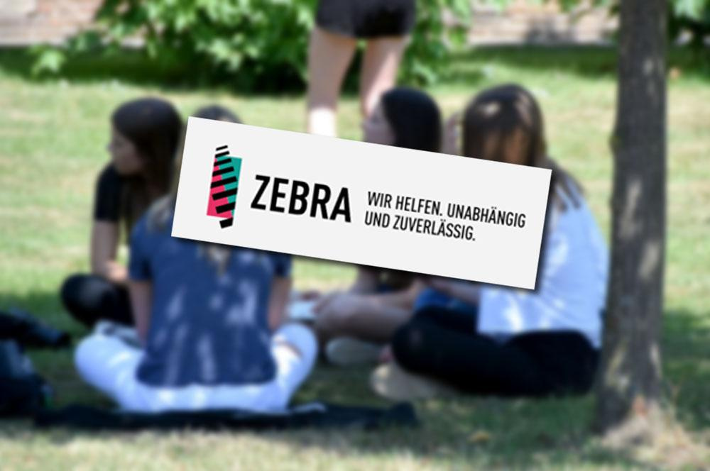 Zebra_2022