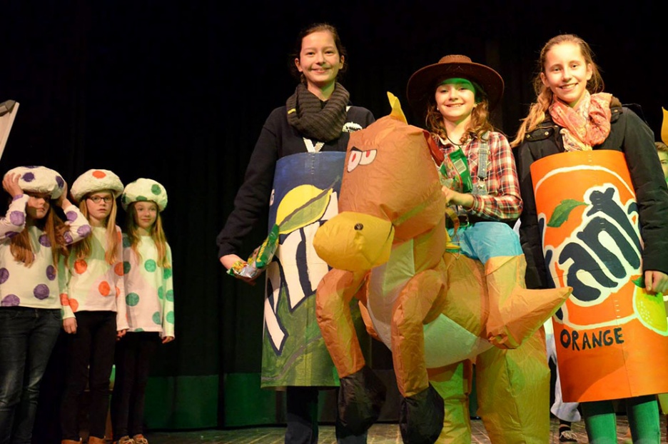 Karneval 2015 03