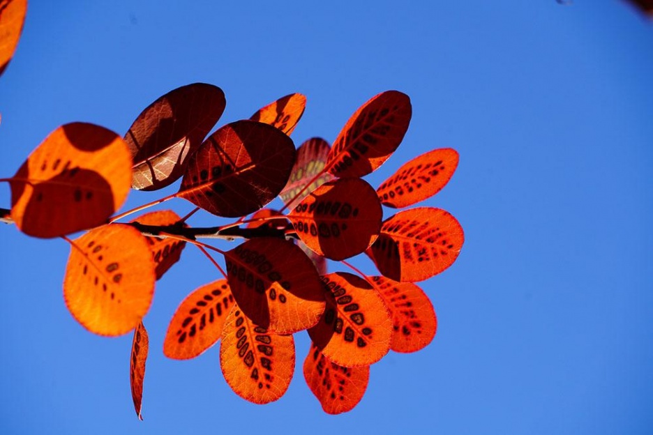 Sinnesgarten4