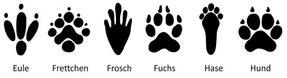 Fussspuren_02