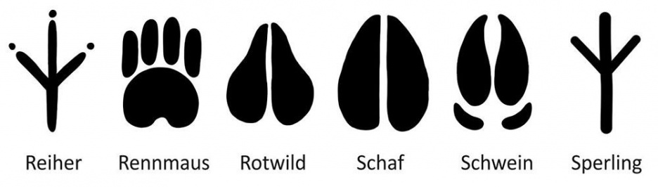 Fussspuren_05