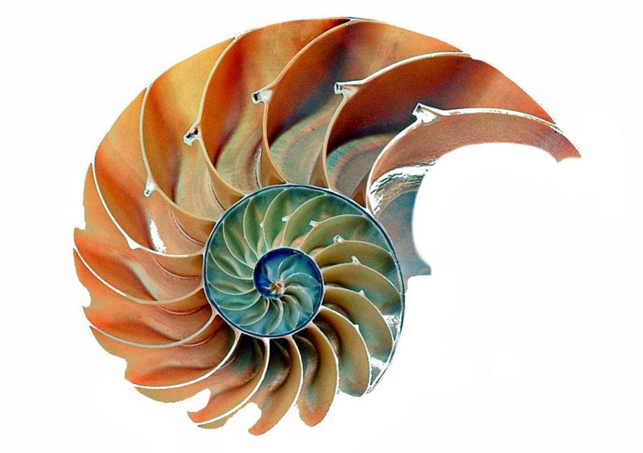 LP_08