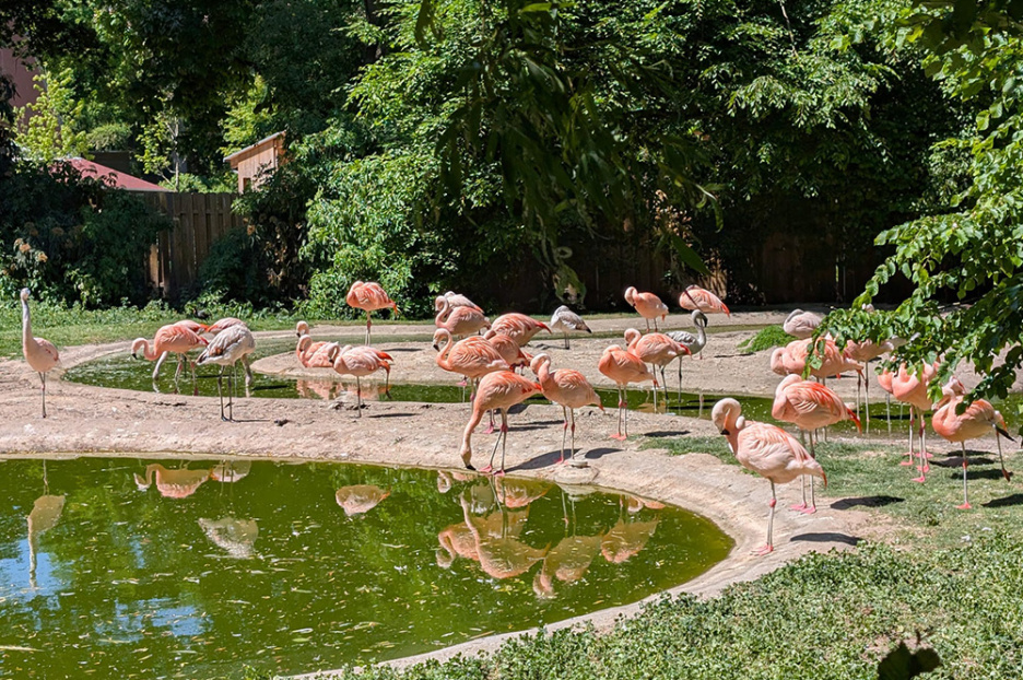 Besuch im Allwetterzoo (3)