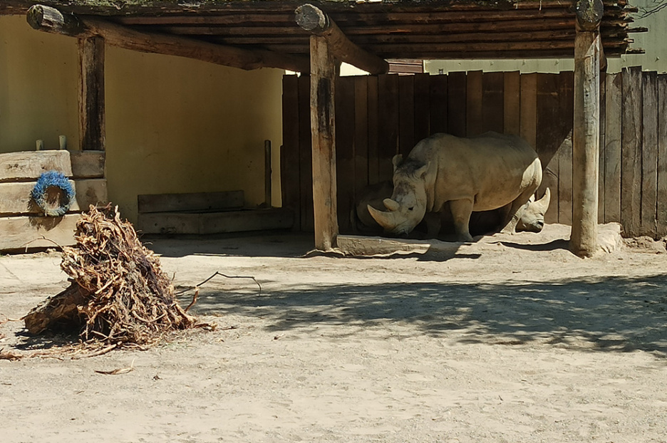 Besuch im Allwetterzoo (3)