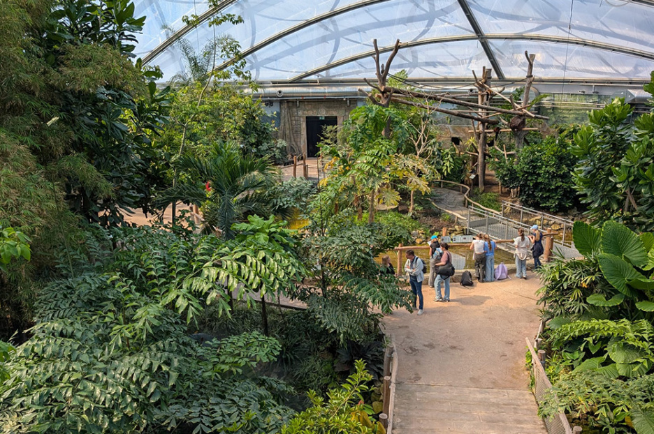Besuch im Allwetterzoo (3)
